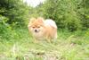 2009-05-24_ntb_1497