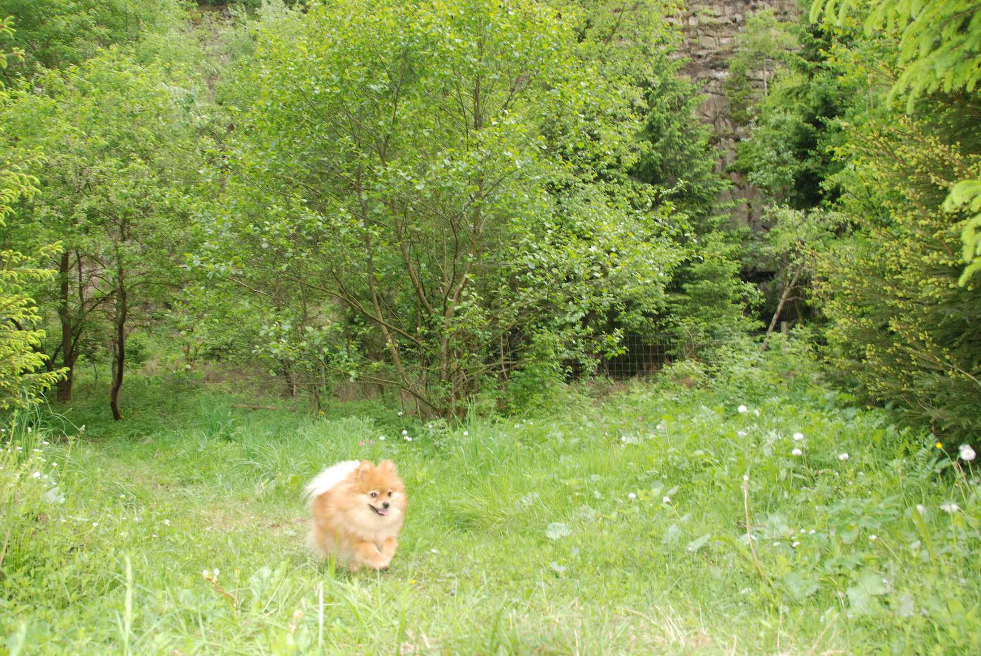 2009-05-24_ntb_1498