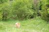 2009-05-24_ntb_1498