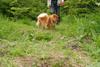 2009-05-24_ntb_1499