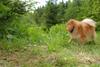2009-05-24_ntb_1500