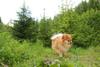 2009-05-24_ntb_1501