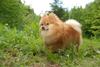 2009-05-24_ntb_1502