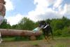 2009-05-24_ntb_1505