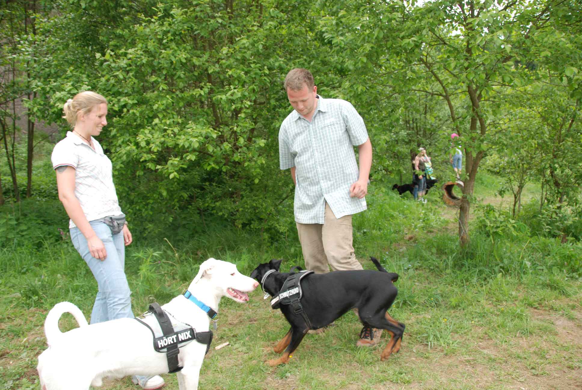 2009-05-24_ntb_1511
