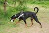 2009-05-24_ntb_1512