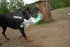 2009-05-24_ntb_1513