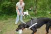 2009-05-24_ntb_1514