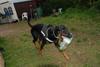 2009-05-24_ntb_1515