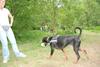 2009-05-24_ntb_1516