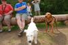 2009-05-24_ntb_1518