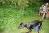 2009-05-24_ntb_1519