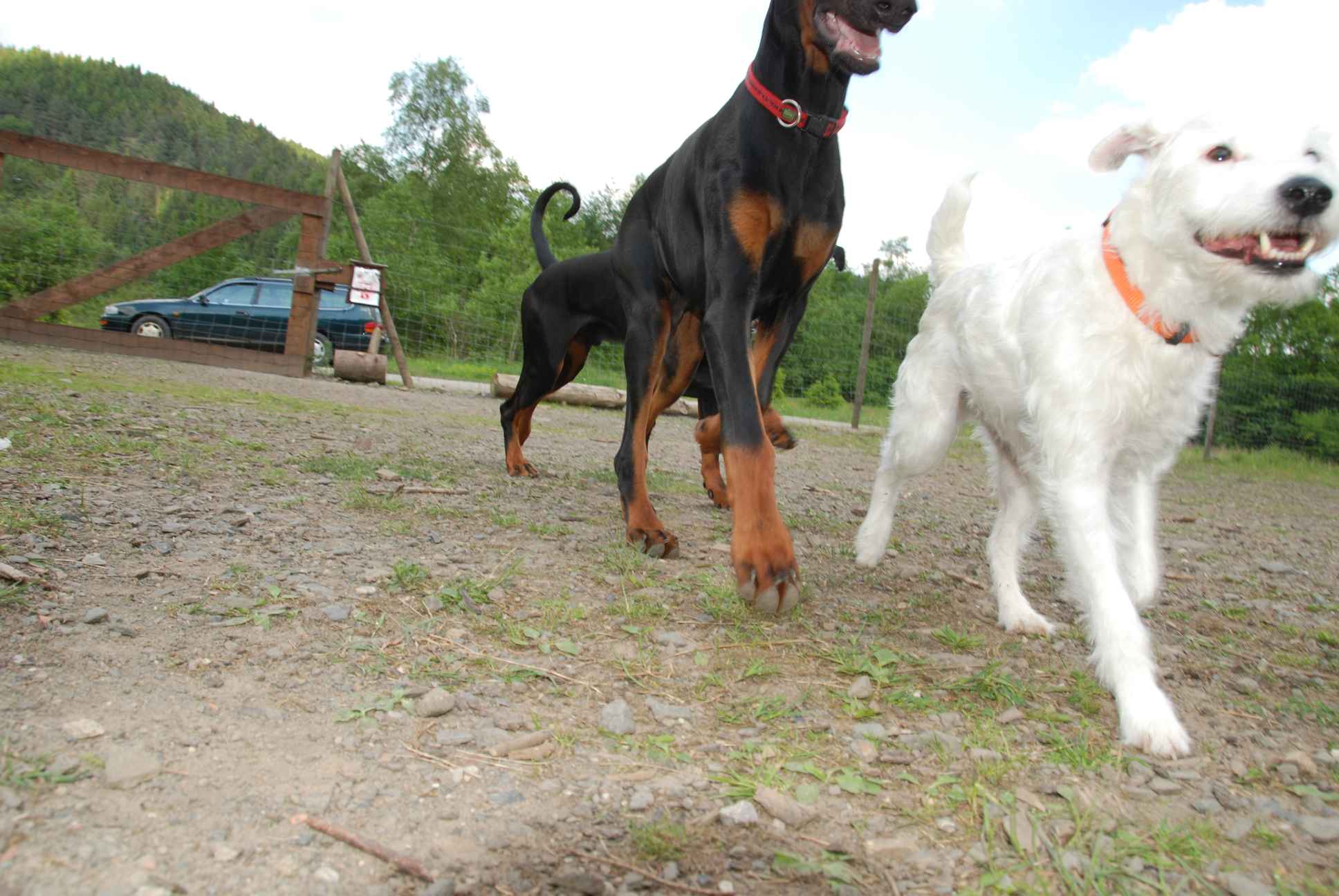 2009-05-24_ntb_1520