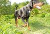 2009-05-24_ntb_1522