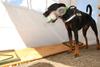 2009-05-24_ntb_1524