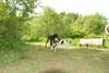 2009-05-24_ntb_1525