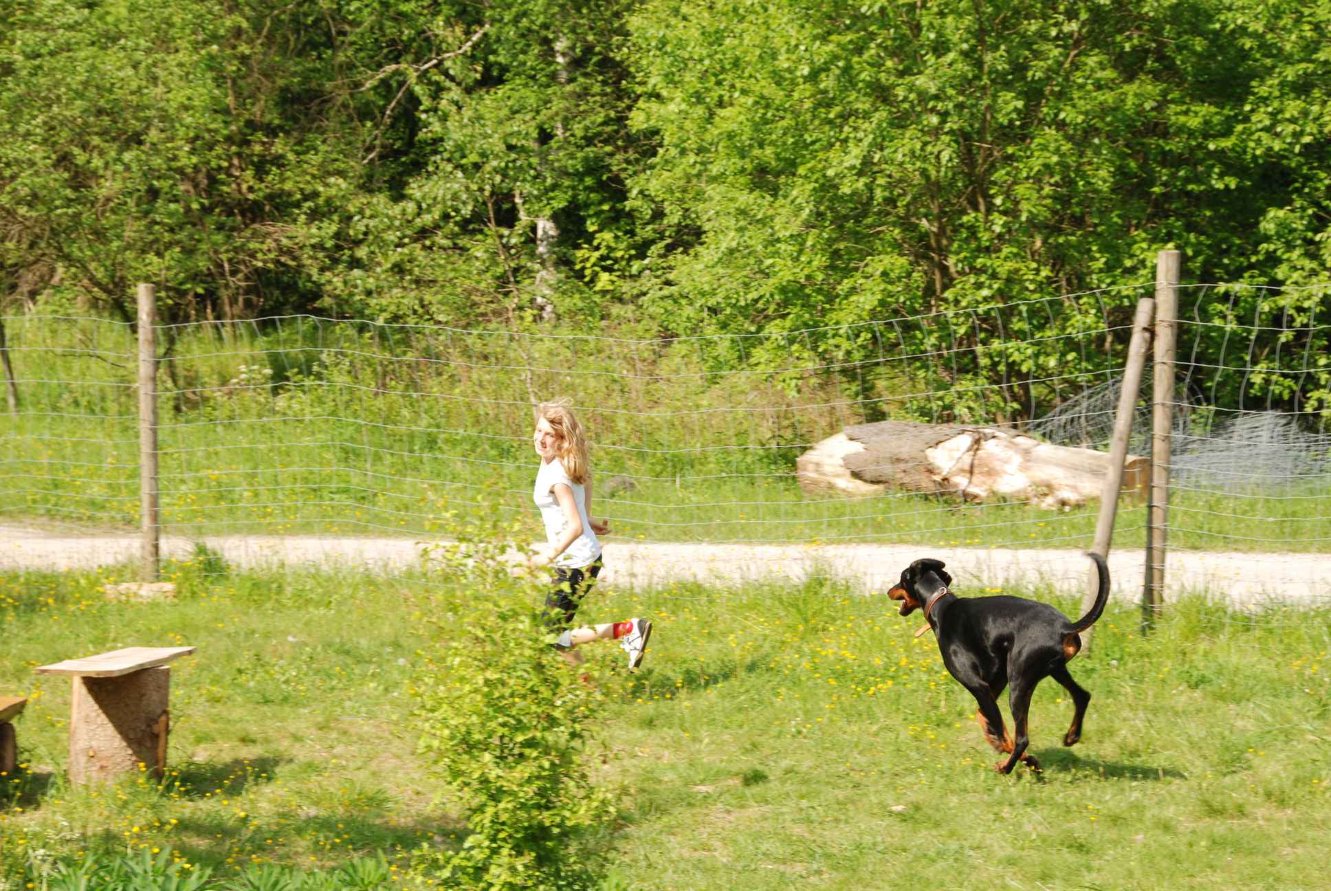 2009-05-24_ntb_1527