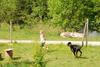 2009-05-24_ntb_1527
