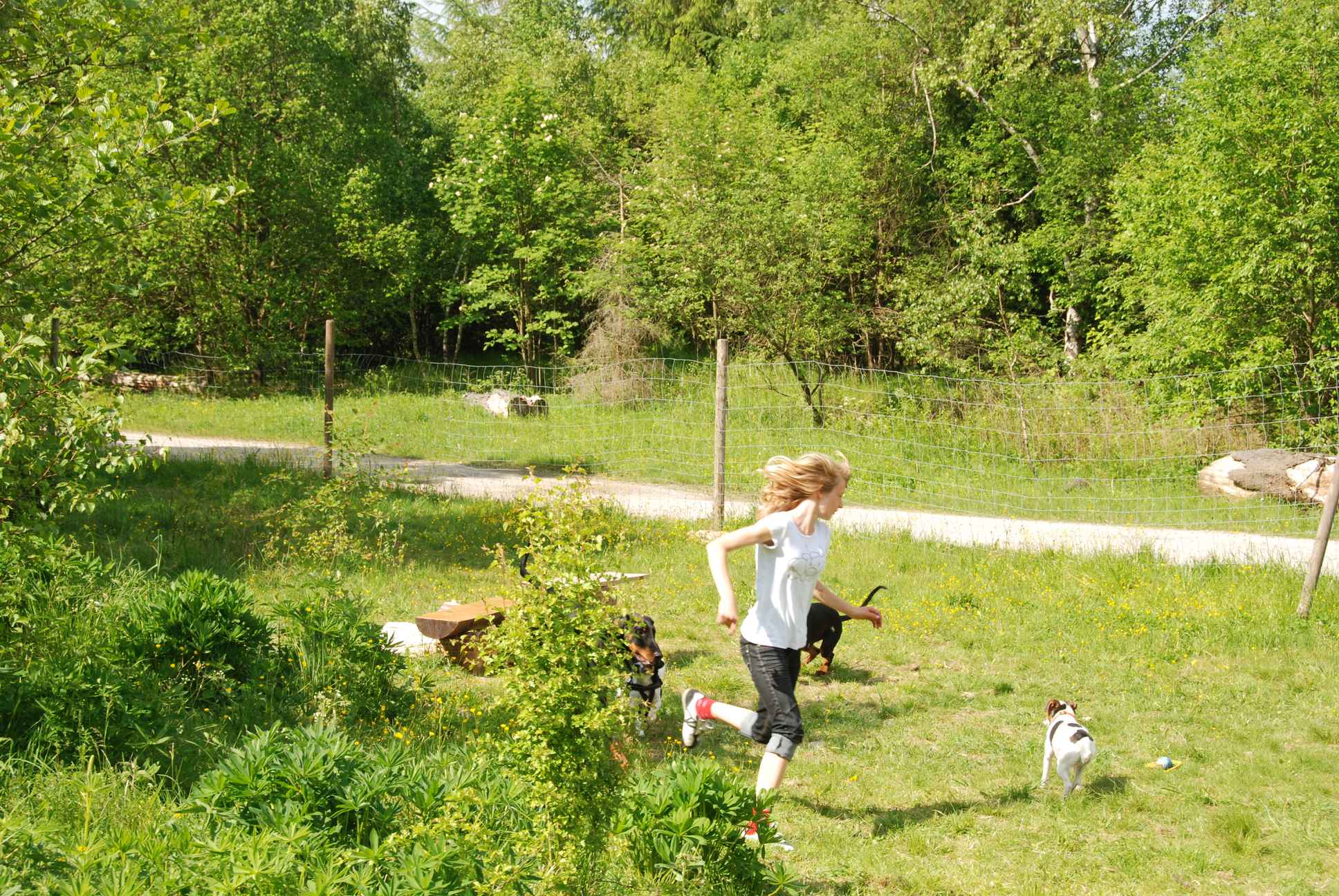 2009-05-24_ntb_1528