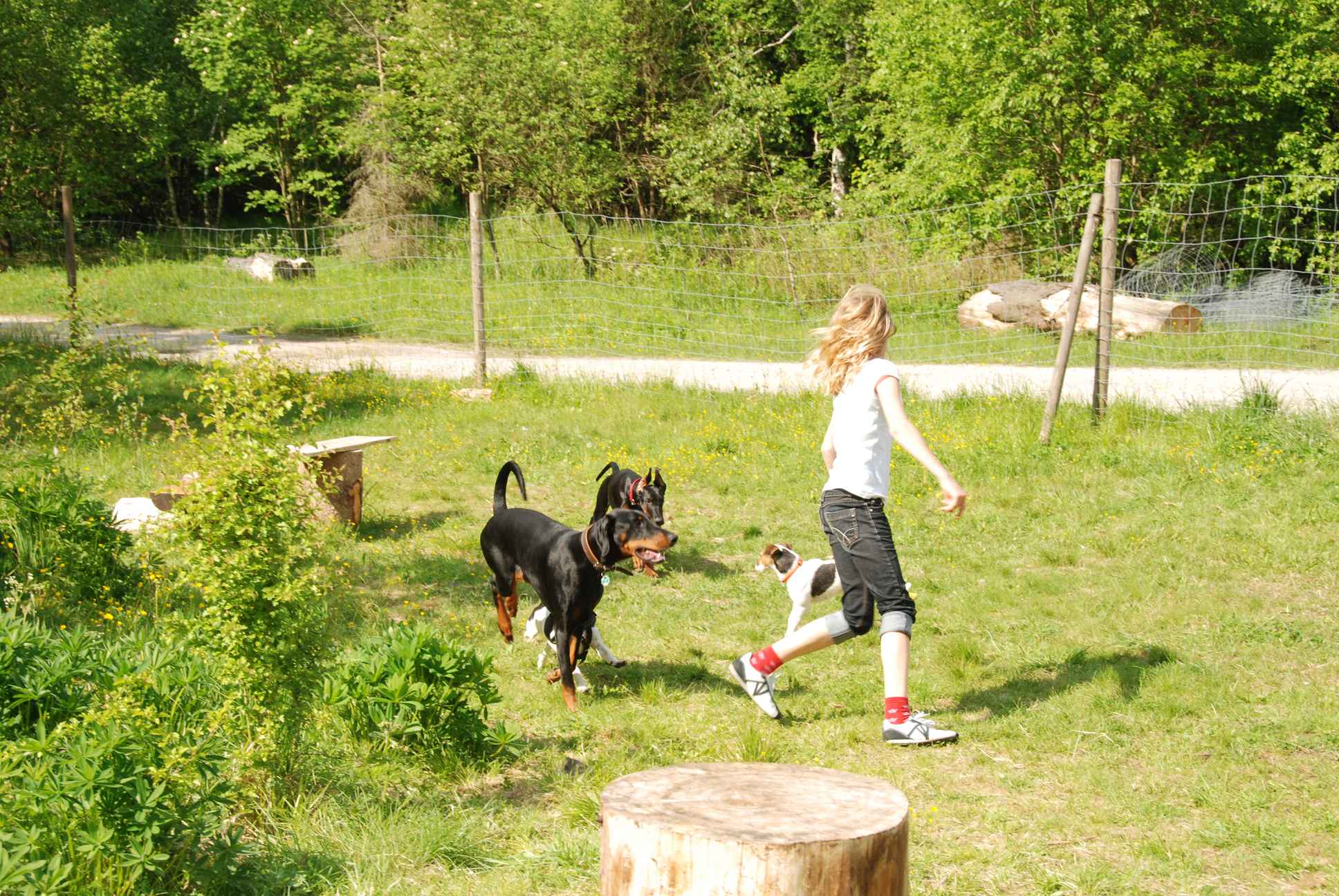 2009-05-24_ntb_1529