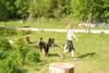 2009-05-24_ntb_1529