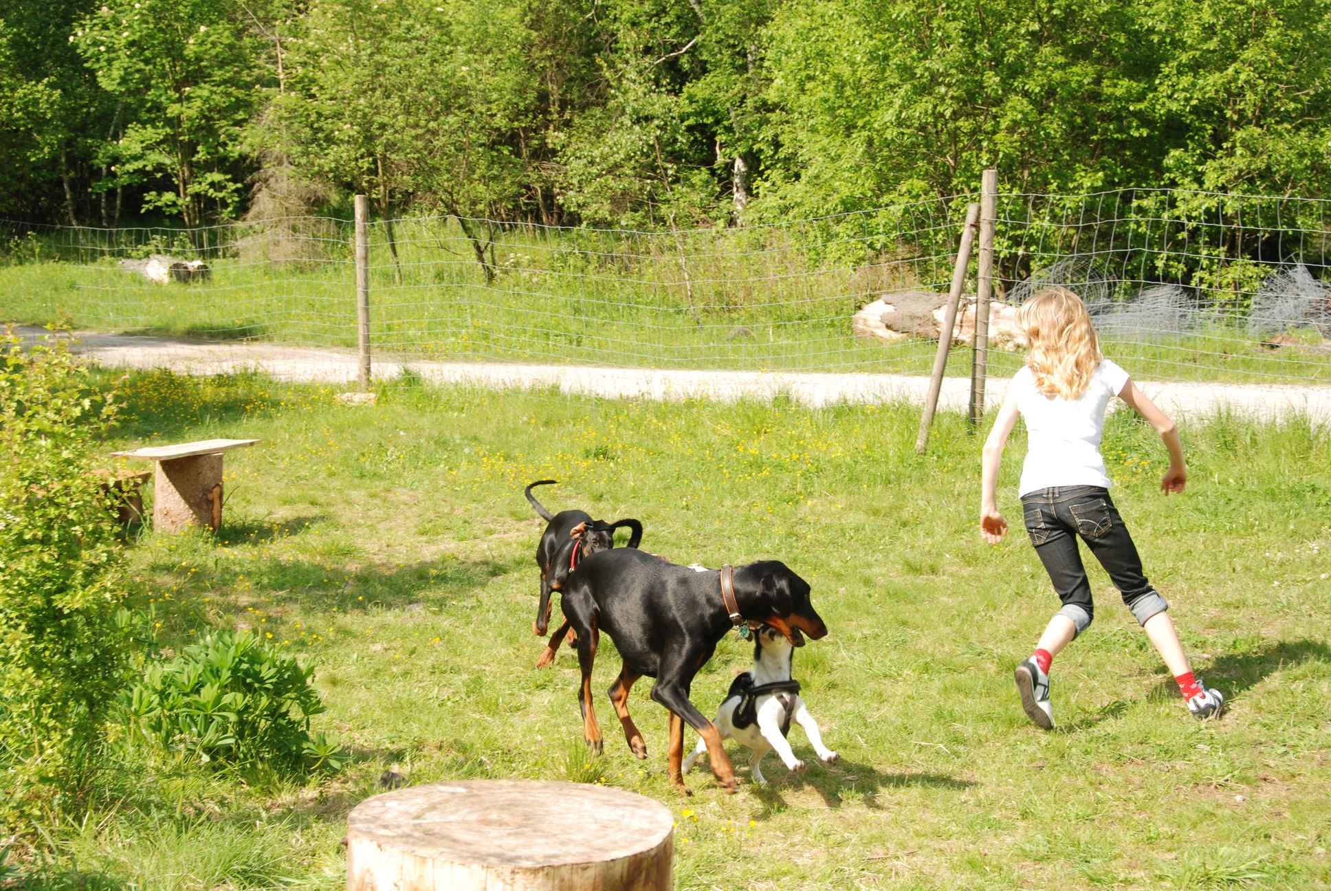 2009-05-24_ntb_1530