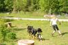 2009-05-24_ntb_1530