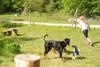 2009-05-24_ntb_1531