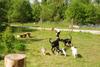 2009-05-24_ntb_1532