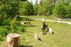 2009-05-24_ntb_1533