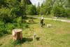 2009-05-24_ntb_1534