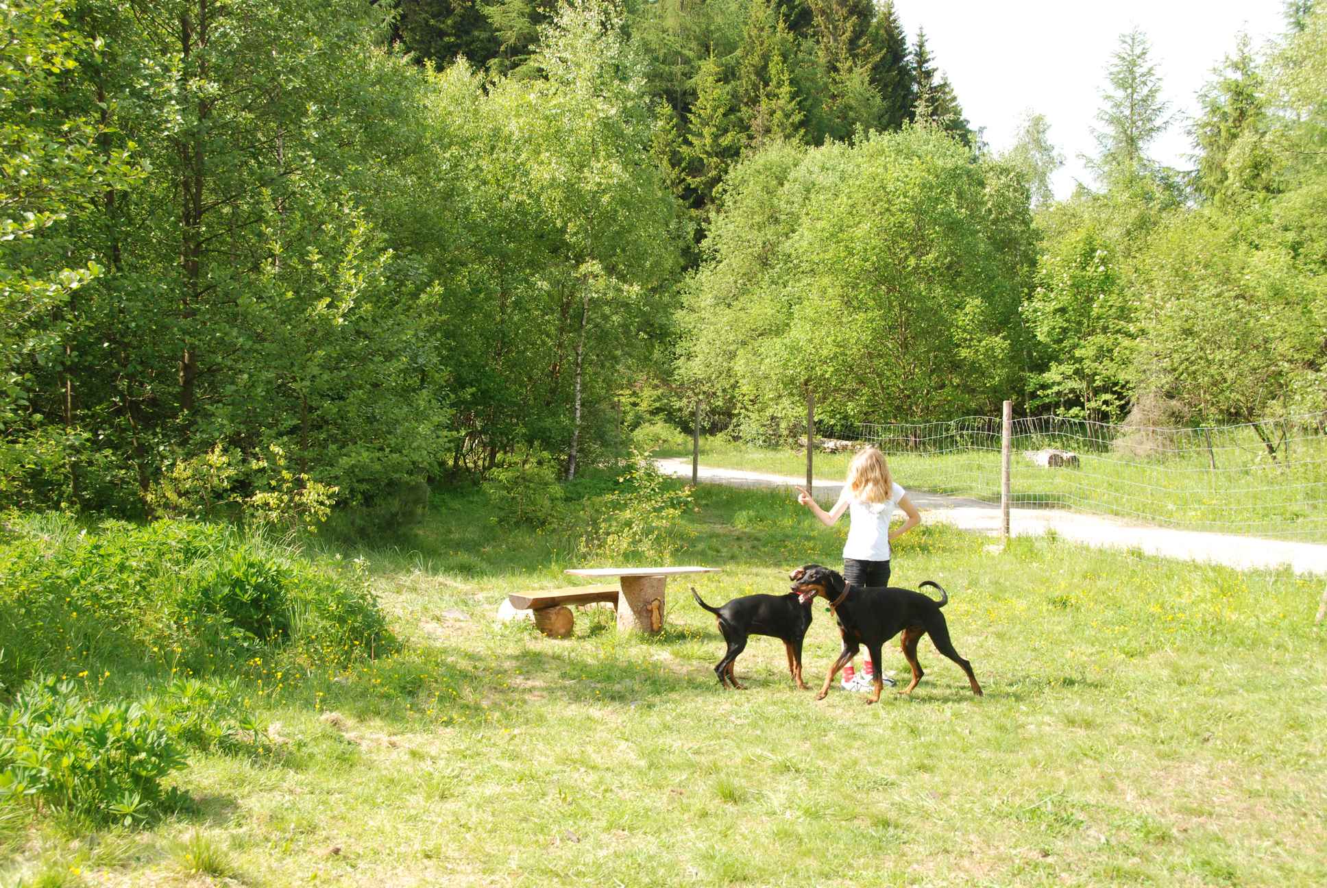 2009-05-24_ntb_1535