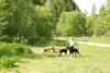 2009-05-24_ntb_1535