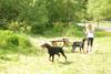 2009-05-24_ntb_1536