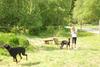 2009-05-24_ntb_1537