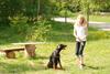 2009-05-24_ntb_1541