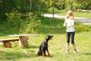 2009-05-24_ntb_1542