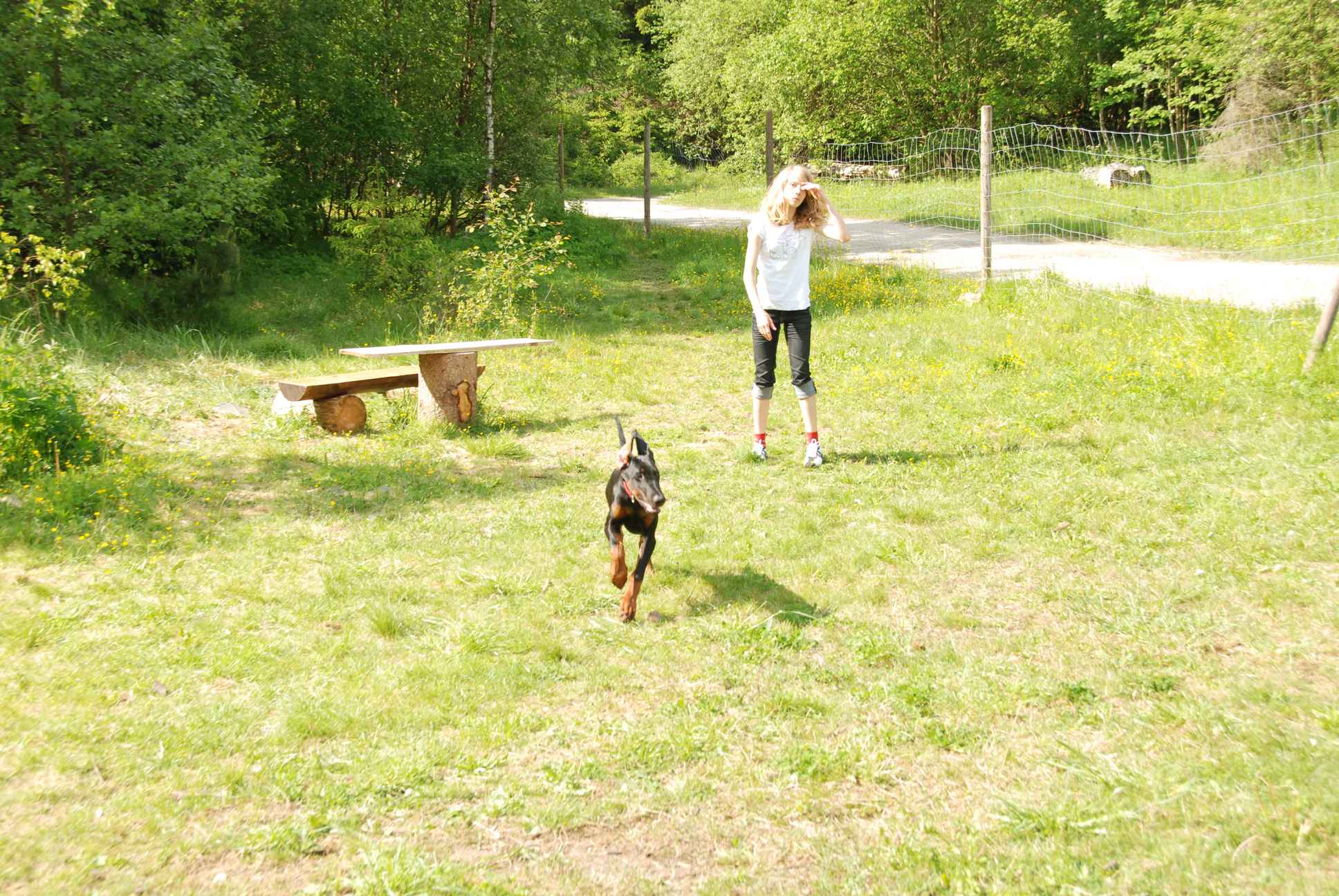 2009-05-24_ntb_1544