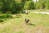 2009-05-24_ntb_1545