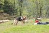 2010-05-22_ntb_8417