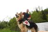 2010-05-22_ntb_8432