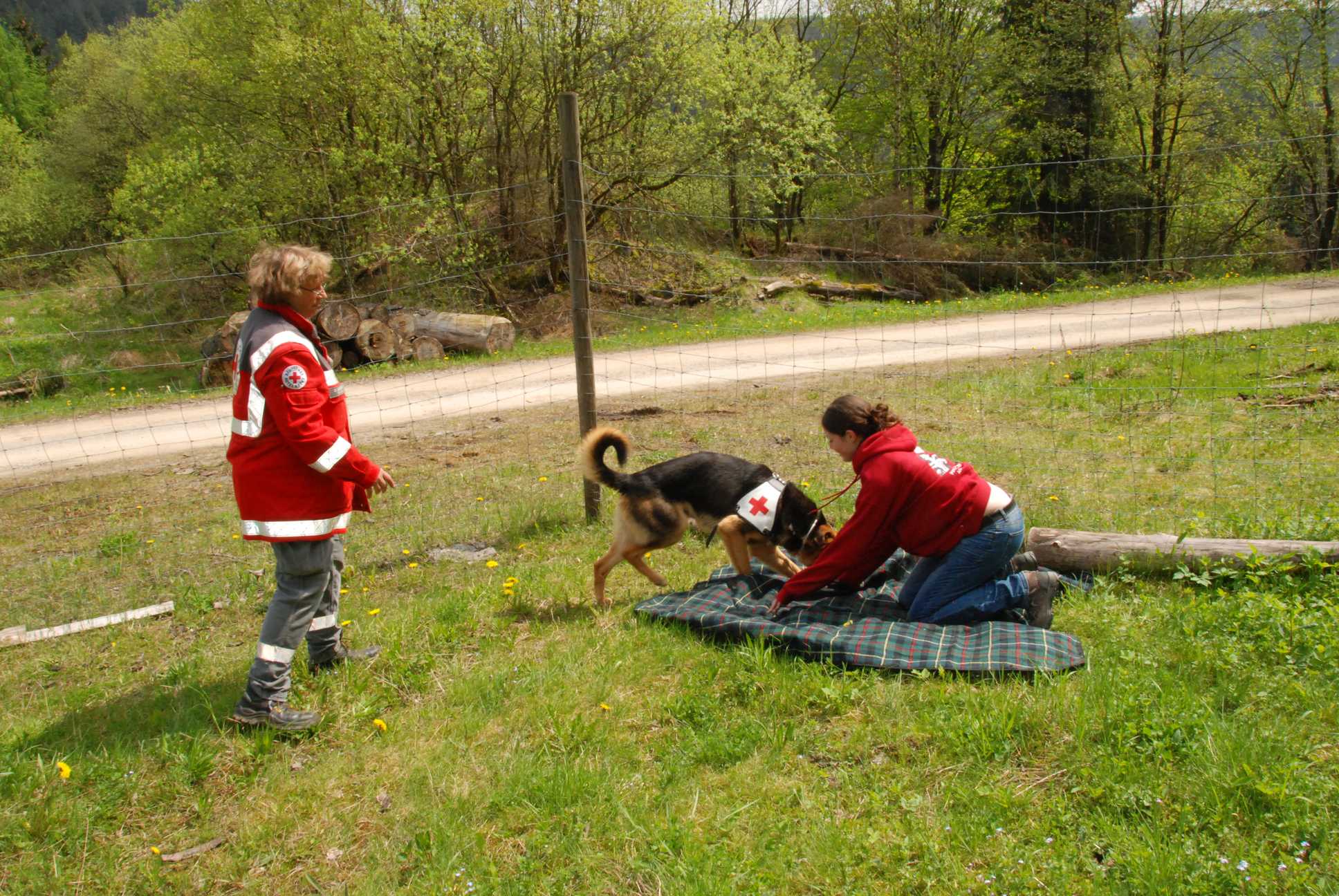 2010-05-22_ntb_8461