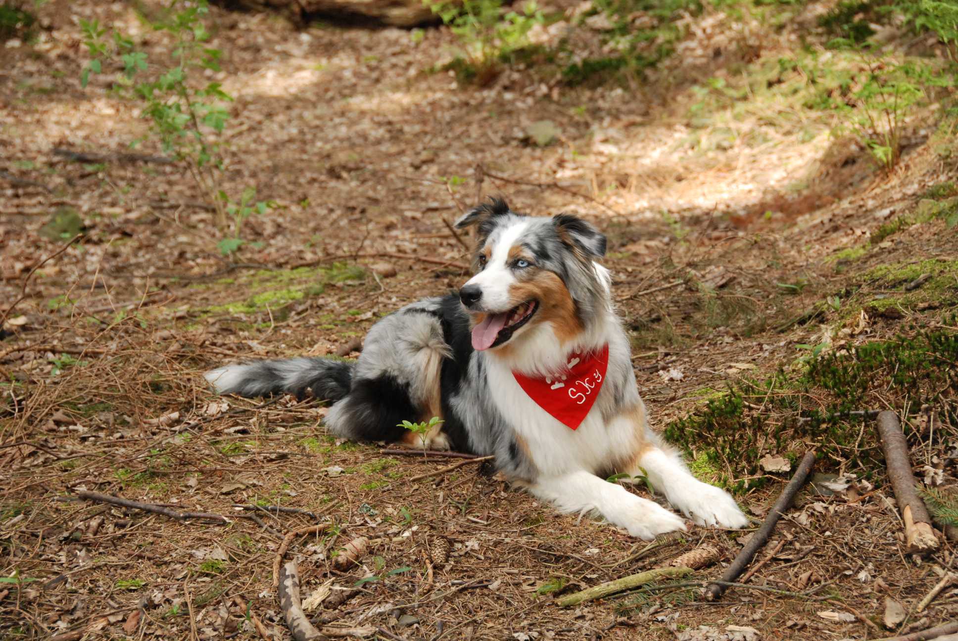 2010-05-22_ntb_8478