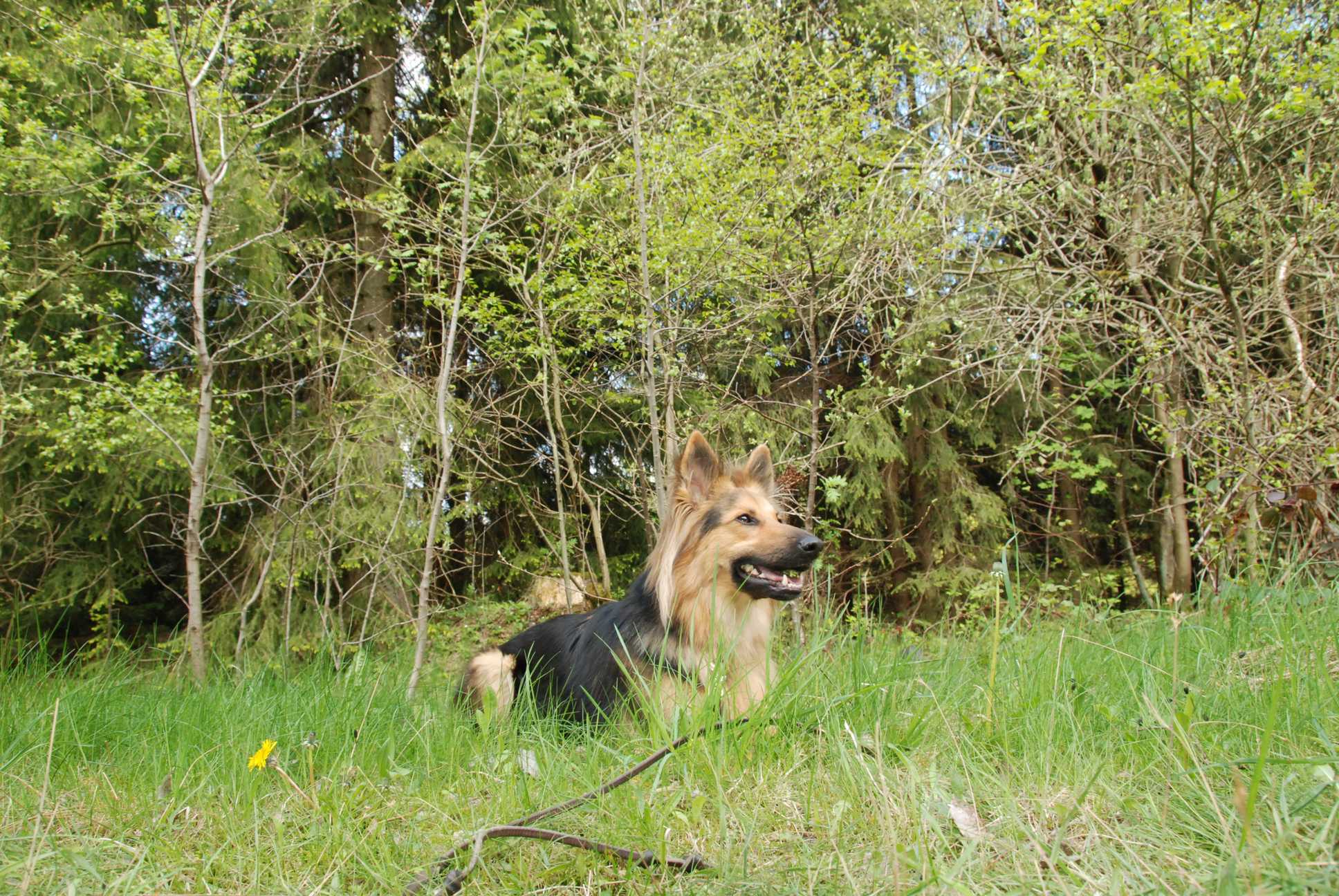 2010-05-22_ntb_8499