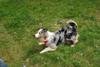2010-05-22_ntb_8514