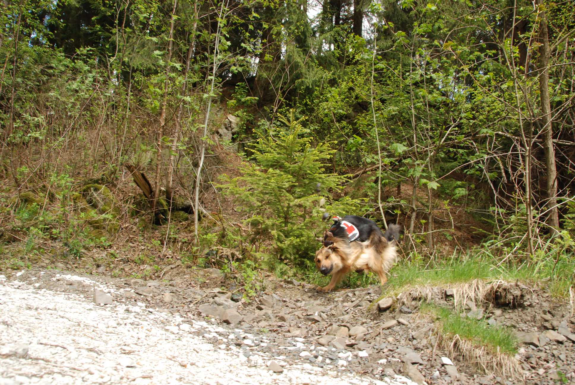 2010-05-22_ntb_8629