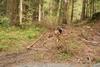 2010-05-22_ntb_8652