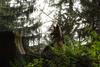 2010-05-22_ntb_8657