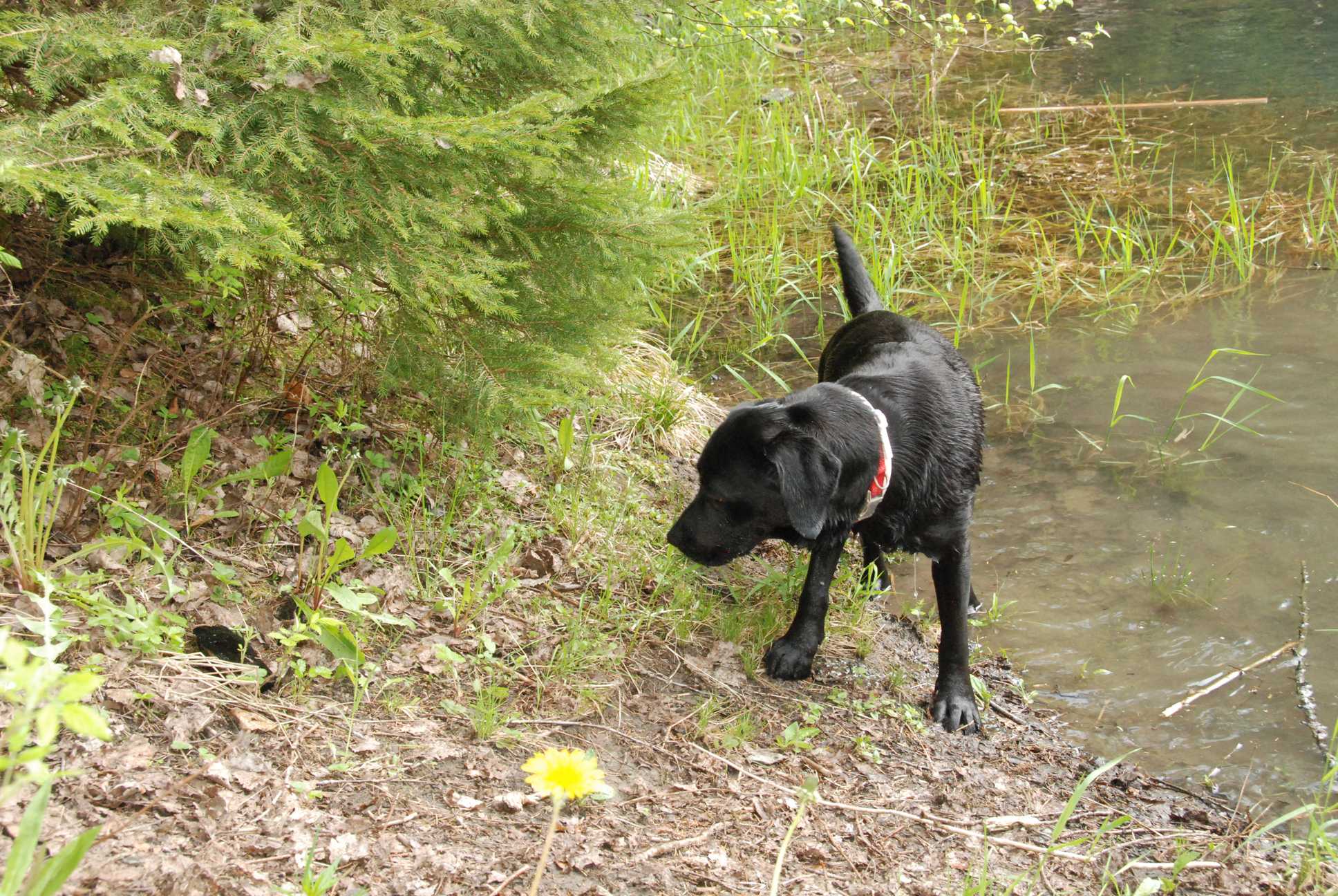 2010-05-22_ntb_8698