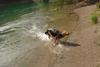 2010-05-22_ntb_8722